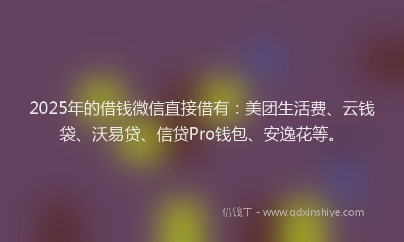 2025年的借钱微信直接借有：美团生活费、云钱袋、沃易贷、信贷Pro钱包、安逸花等。