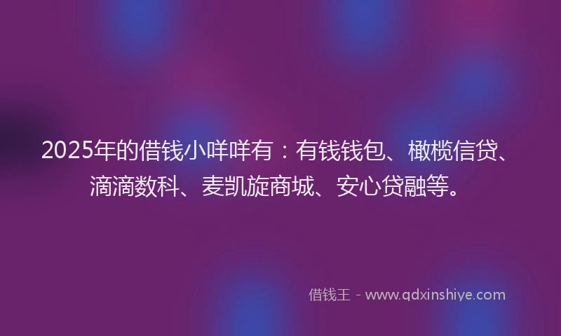 2025年的借钱小咩咩有：有钱钱包、橄榄信贷、滴滴数科、麦凯旋商城、安心贷融等。