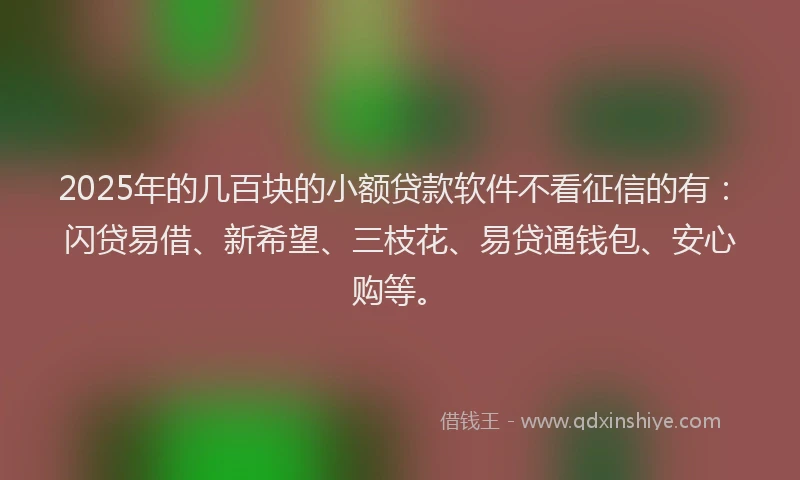 2025年的几百块的小额贷款软件不看征信的有：闪贷易借、新希望、三枝花、易贷通钱包、安心购等。