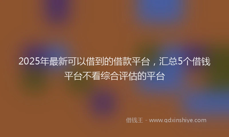 2025年最新可以借到的借款平台，汇总5个借钱平台不看综合评估的平台