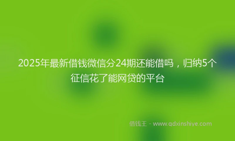 2025年最新借钱微信分24期还能借吗，归纳5个征信花了能网贷的平台