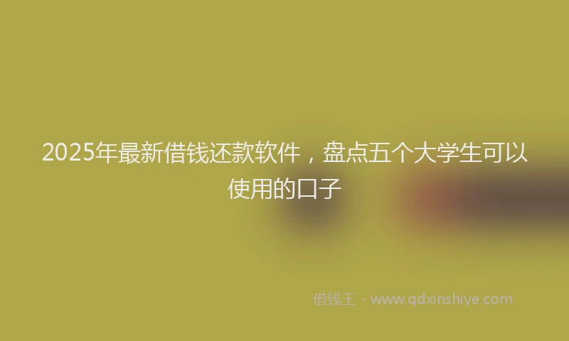 2025年最新借钱还款软件，盘点五个大学生可以使用的口子