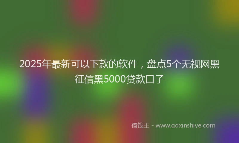 2025年最新可以下款的软件，盘点5个无视网黑征信黑5000贷款口子