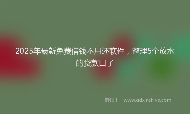 2025年最新免费借钱不用还软件，整理5个放水的贷款口子
