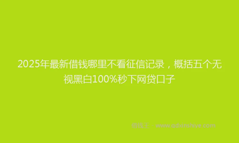 2025年最新借钱哪里不看征信记录，概括五个无视黑白100%秒下网贷口子