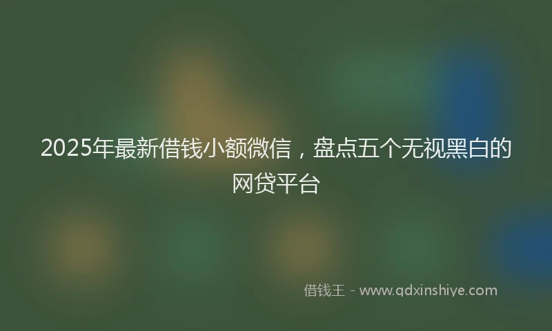 2025年最新借钱小额微信，盘点五个无视黑白的网贷平台