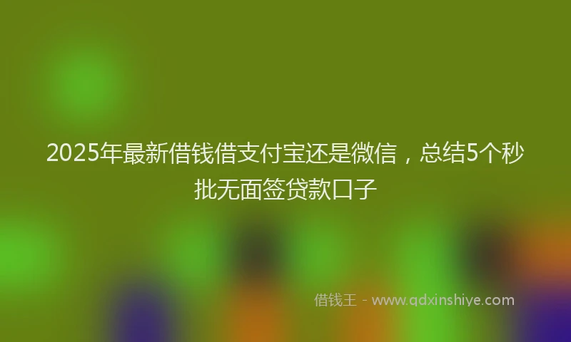 2025年最新借钱借支付宝还是微信，总结5个秒批无面签贷款口子