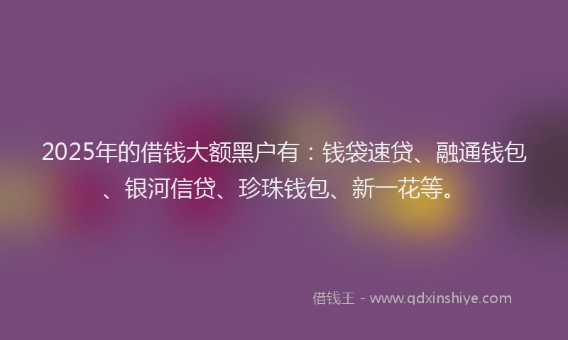 2025年的借钱大额黑户有：钱袋速贷、融通钱包、银河信贷、珍珠钱包、新一花等。