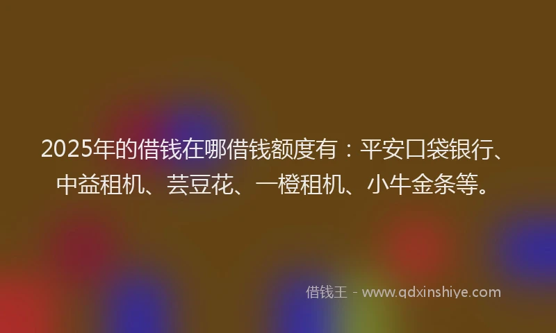 2025年的借钱在哪借钱额度有：平安口袋银行、中益租机、芸豆花、一橙租机、小牛金条等。