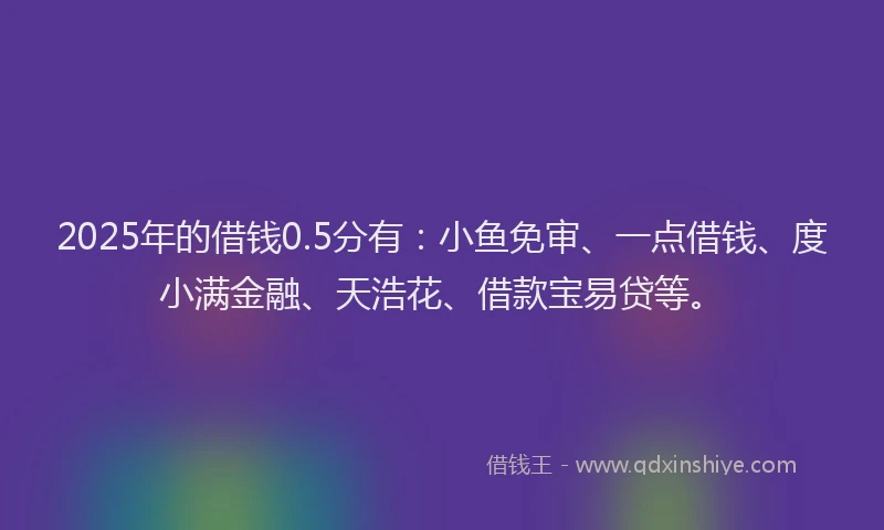 2025年的借钱0.5分有：小鱼免审、一点借钱、度小满金融、天浩花、借款宝易贷等。