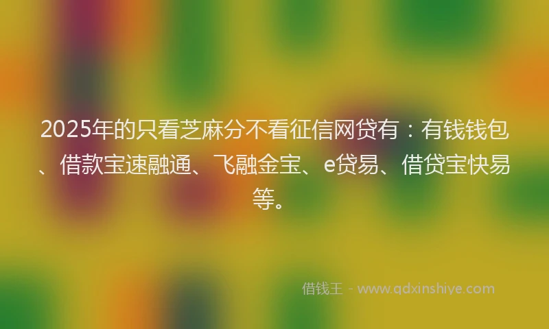 2025年的只看芝麻分不看征信网贷有：有钱钱包、借款宝速融通、飞融金宝、e贷易、借贷宝快易等。