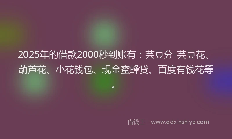 2025年的借款2000秒到账有：芸豆分-芸豆花、葫芦花、小花钱包、现金蜜蜂贷、百度有钱花等。