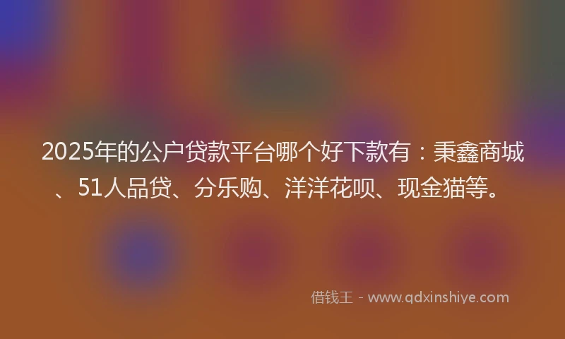 2025年的公户贷款平台哪个好下款有：秉鑫商城、51人品贷、分乐购、洋洋花呗、现金猫等。