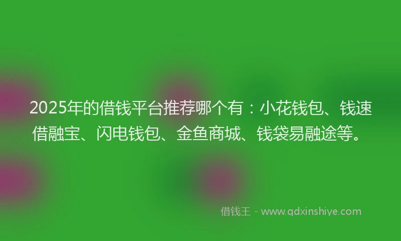 2025年的借钱平台推荐哪个有：小花钱包、钱速借融宝、闪电钱包、金鱼商城、钱袋易融途等。