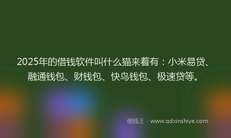 2025年的借钱软件叫什么猫来着有：小米易贷、融通钱包、财钱包、快鸟钱包、极速贷等。
