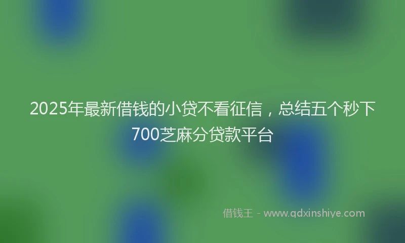 2025年最新借钱的小贷不看征信，总结五个秒下700芝麻分贷款平台