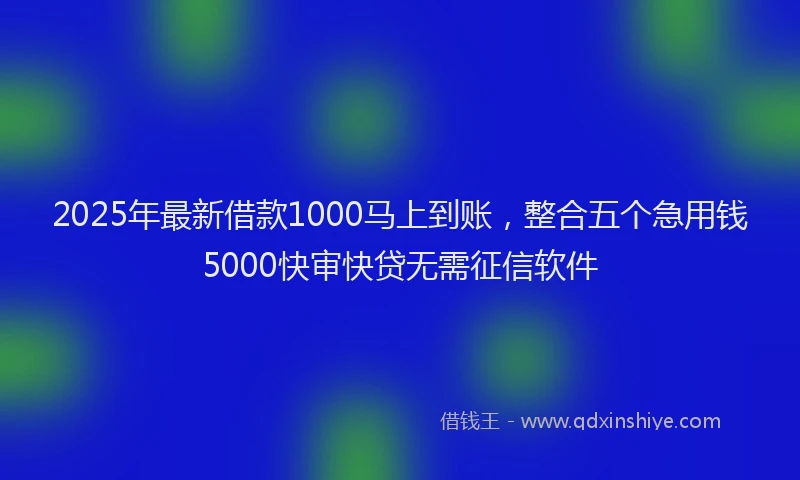 2025年最新借款1000马上到账，整合五个急用钱5000快审快贷无需征信软件