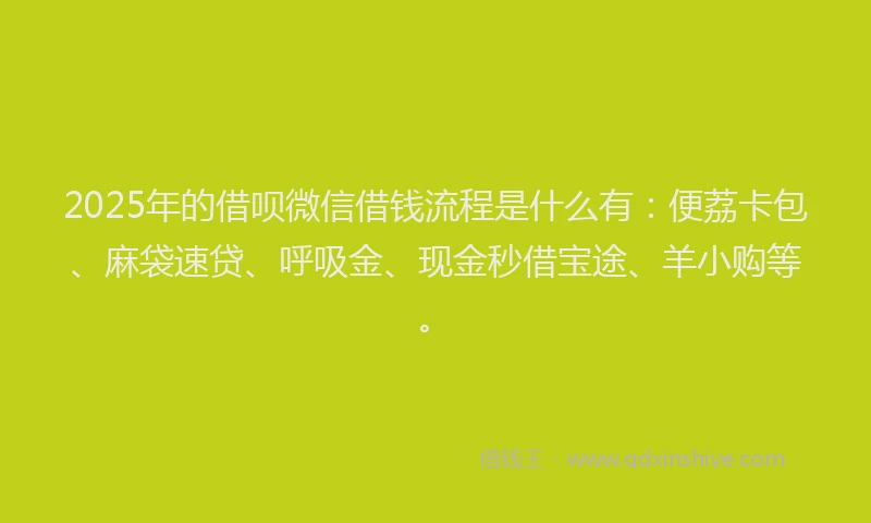 2025年的借呗微信借钱流程是什么有：便荔卡包、麻袋速贷、呼吸金、现金秒借宝途、羊小购等。