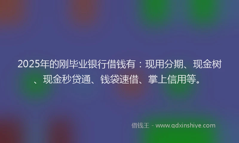 2025年的刚毕业银行借钱有：现用分期、现金树、现金秒贷通、钱袋速借、掌上信用等。