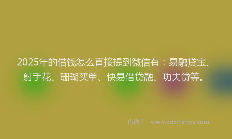 2025年的借钱怎么直接提到微信有：易融贷宝、射手花、珊瑚买单、快易借贷融、功夫贷等。
