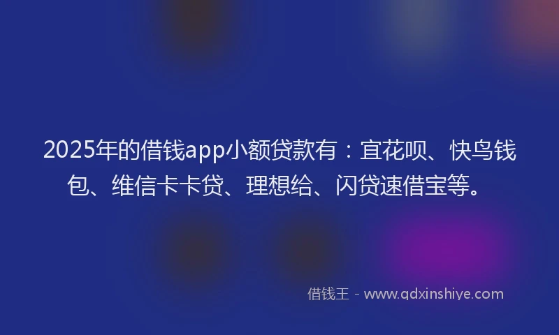 2025年的借钱app小额贷款有：宜花呗、快鸟钱包、维信卡卡贷、理想给、闪贷速借宝等。