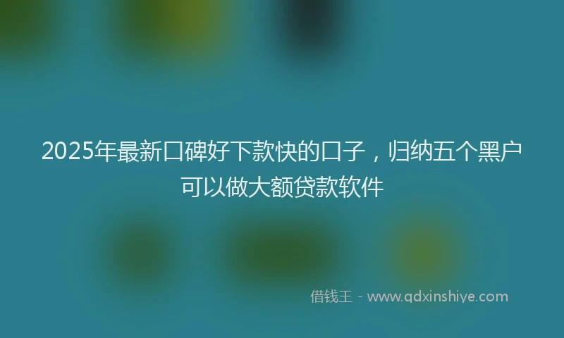 2025年最新口碑好下款快的口子，归纳五个黑户可以做大额贷款软件