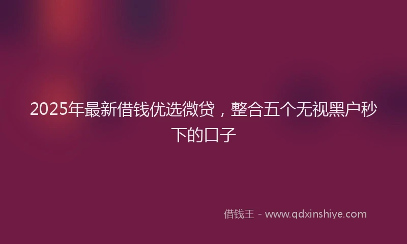 2025年最新借钱优选微贷，整合五个无视黑户秒下的口子