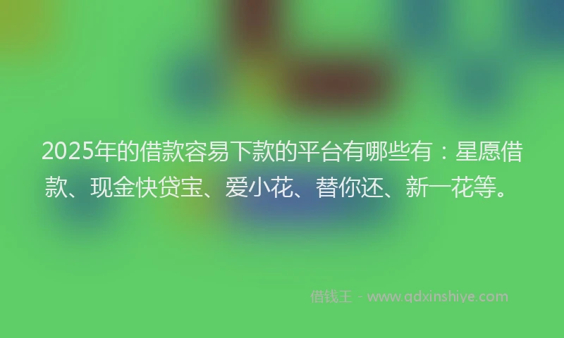 2025年的借款容易下款的平台有哪些有：星愿借款、现金快贷宝、爱小花、替你还、新一花等。