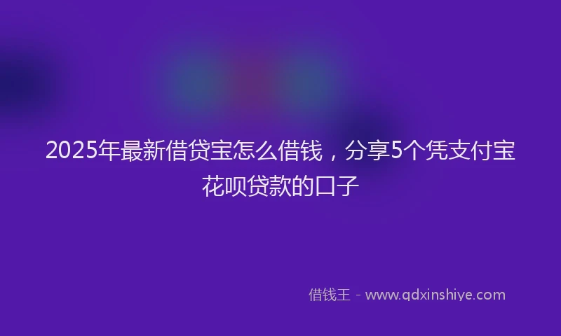 2025年最新借贷宝怎么借钱，分享5个凭支付宝花呗贷款的口子