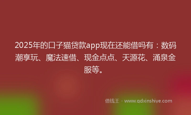 2025年的口子猫贷款app现在还能借吗有：数码潮享玩、魔法速借、现金点点、天源花、涌泉金服等。