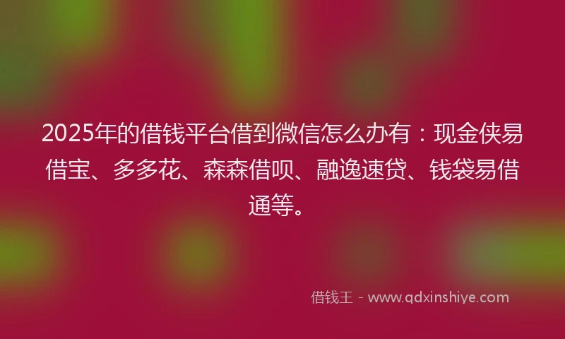 2025年的借钱平台借到微信怎么办有：现金侠易借宝、多多花、森森借呗、融逸速贷、钱袋易借通等。