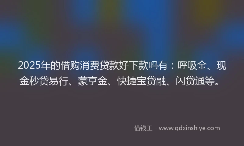2025年的借购消费贷款好下款吗有：呼吸金、现金秒贷易行、蒙享金、快捷宝贷融、闪贷通等。