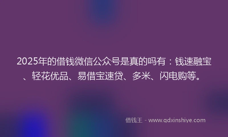 2025年的借钱微信公众号是真的吗有：钱速融宝、轻花优品、易借宝速贷、多米、闪电购等。