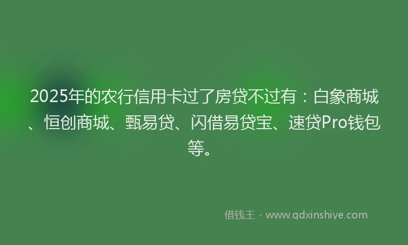 2025年的农行信用卡过了房贷不过有：白象商城、恒创商城、甄易贷、闪借易贷宝、速贷Pro钱包等。