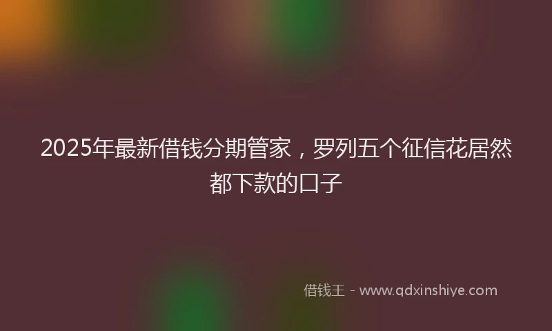 2025年最新借钱分期管家，罗列五个征信花居然都下款的口子