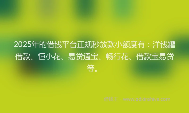2025年的借钱平台正规秒放款小额度有：洋钱罐借款、恒小花、易贷通宝、畅行花、借款宝易贷等。