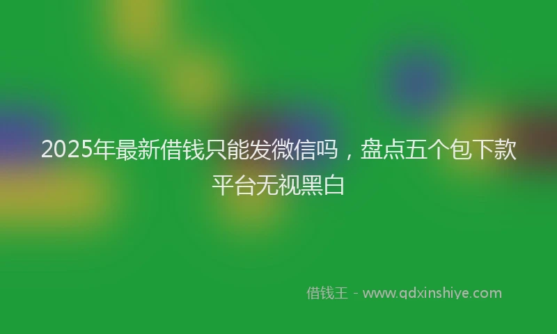 2025年最新借钱只能发微信吗，盘点五个包下款平台无视黑白