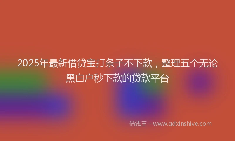 2025年最新借贷宝打条子不下款，整理五个无论黑白户秒下款的贷款平台