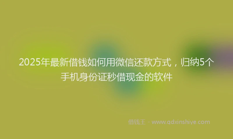 2025年最新借钱如何用微信还款方式，归纳5个手机身份证秒借现金的软件