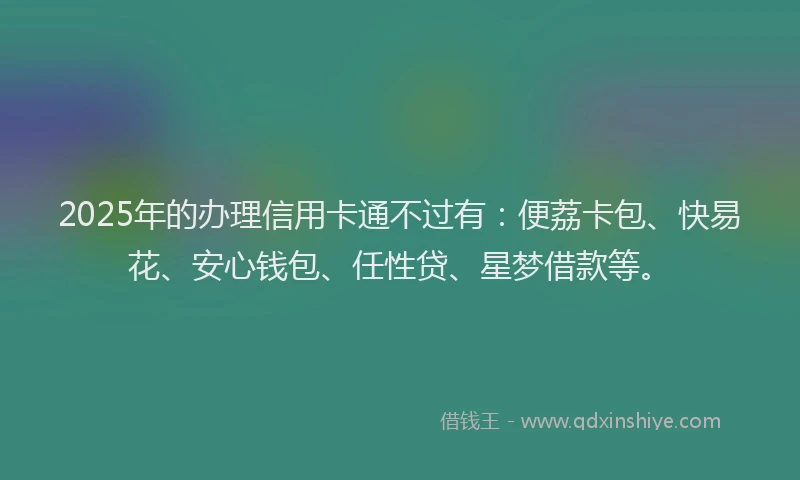 2025年的办理信用卡通不过有：便荔卡包、快易花、安心钱包、任性贷、星梦借款等。