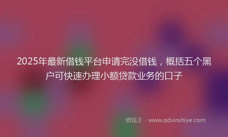 2025年最新借钱平台申请完没借钱，概括五个黑户可快速办理小额贷款业务的口子