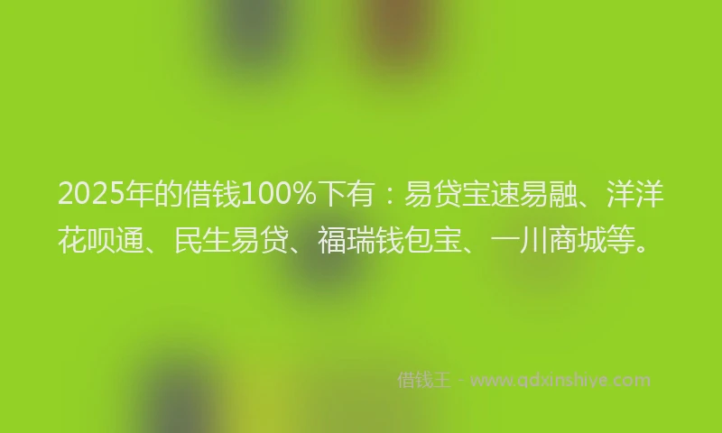 2025年的借钱100%下有：易贷宝速易融、洋洋花呗通、民生易贷、福瑞钱包宝、一川商城等。