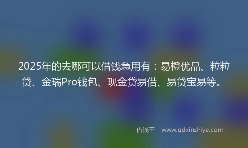 2025年的去哪可以借钱急用有：易橙优品、粒粒贷、金瑞Pro钱包、现金贷易借、易贷宝易等。