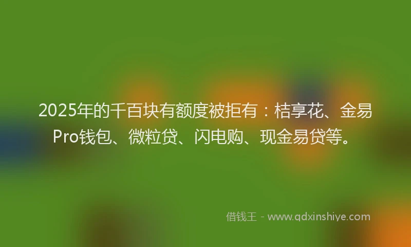 2025年的千百块有额度被拒有：桔享花、金易Pro钱包、微粒贷、闪电购、现金易贷等。