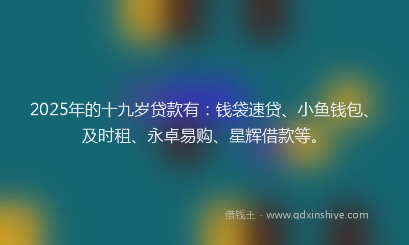 2025年的十九岁贷款有：钱袋速贷、小鱼钱包、及时租、永卓易购、星辉借款等。