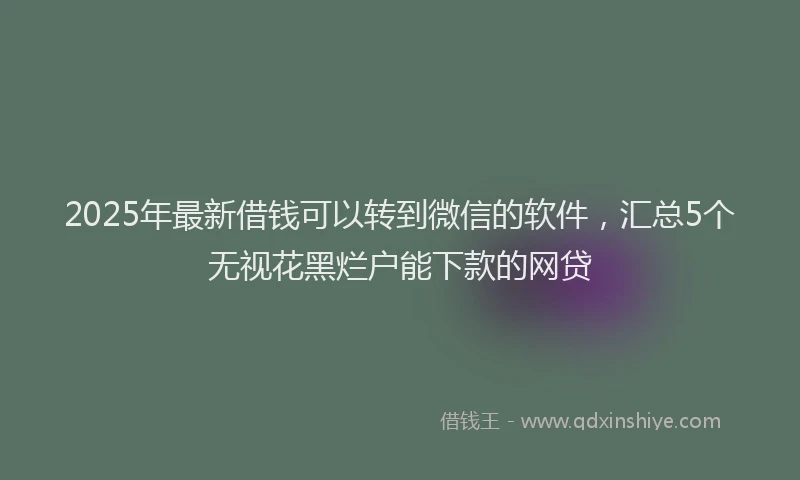 2025年最新借钱可以转到微信的软件，汇总5个无视花黑烂户能下款的网贷