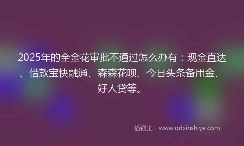 2025年的全金花审批不通过怎么办有：现金直达、借款宝快融通、森森花呗、今日头条备用金、好人贷等。