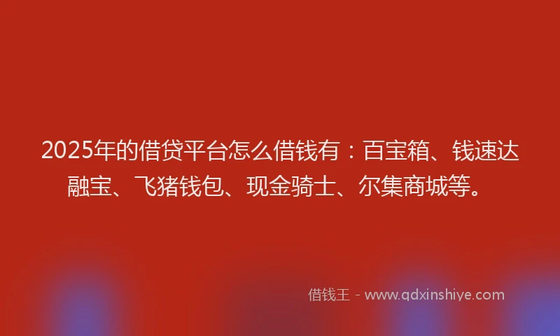 2025年的借贷平台怎么借钱有：百宝箱、钱速达融宝、飞猪钱包、现金骑士、尔集商城等。
