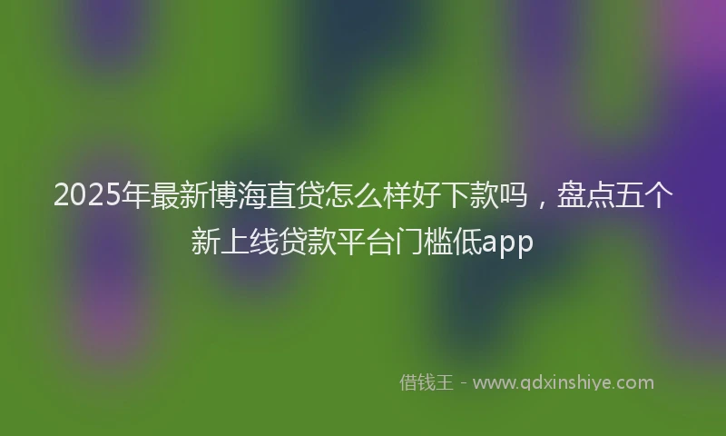 2025年最新博海直贷怎么样好下款吗，盘点五个新上线贷款平台门槛低app