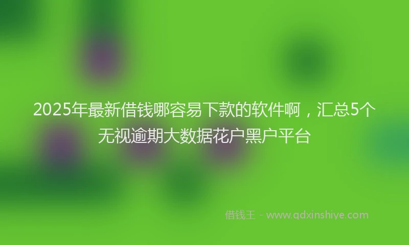 2025年最新借钱哪容易下款的软件啊，汇总5个无视逾期大数据花户黑户平台